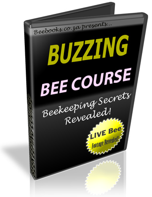 Honey bee video cover